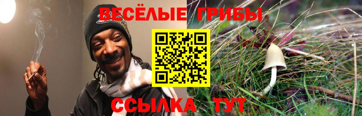 Псилоцибиновые грибы Psilocybe  Вход с VPN  Нижневартовск 